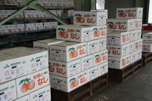 2012nasihatusyukka 052.jpg